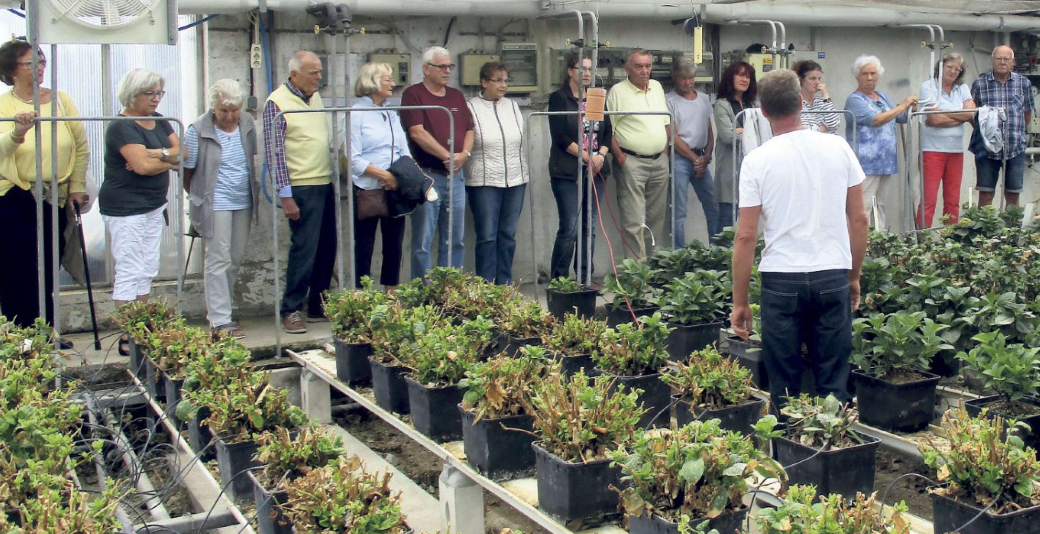 Besichtigung Gärtnerei Lehnhoff